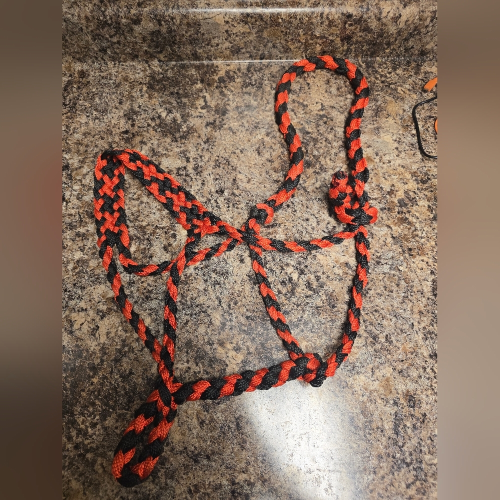 Red and Black Braided Rope Halter
